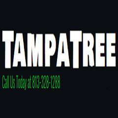 Tampa Tree