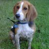 Denise Umpierrez-Morley's photo