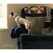 Debra Hemby's photo