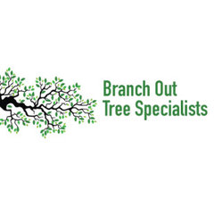 Branch Out Tree Specialist