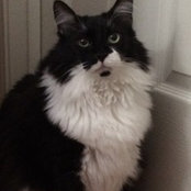 tajacek's photo