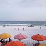 Karly Weller Sims's photo