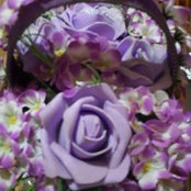 nour skafs foto