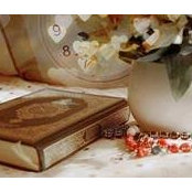 نسمة محمود's photo