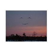 Heather Stohr's photo