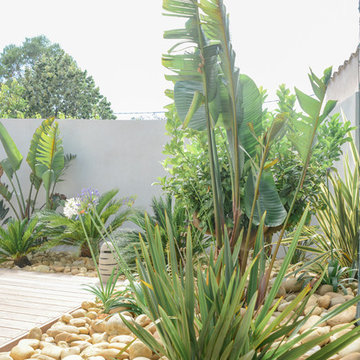 Jardin & Piscine à Bandol
