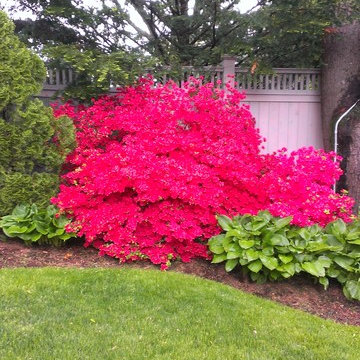 Plantings
