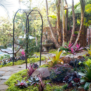 Colorful Shade Garden- Hollywood Hills