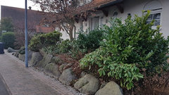 View Vorgarten Gestalten Mit Kies Und Gräsern Background