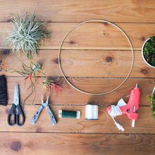 AIR PLANT WREATH