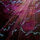 Emily Shughart_Bixler