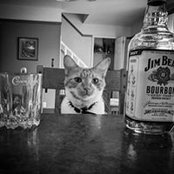 Alison Ensminger's photo