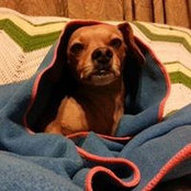 Joshua Attanasio's photo