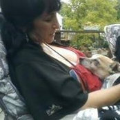 Bonnie Bernstein's photo