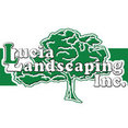 Lucia Landscaping Inc.'s profile photo