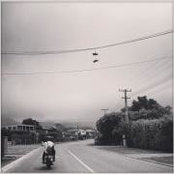 Ché O'Donnell-Gibson's photo
