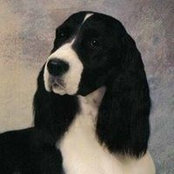 Debbie Trueblood's photo