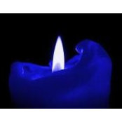 Angela Carroll's photo