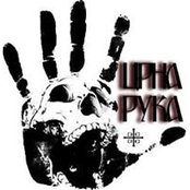 Сергеј Маројевић's photo