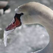 Renee Zambuto's photo