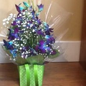 Kathy Fuller's photo