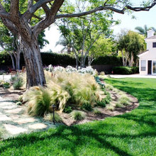 Landscape Ideas