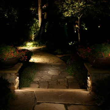 Night-scapes