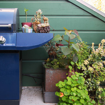 At Home with the Author of The Plant Recipe Book