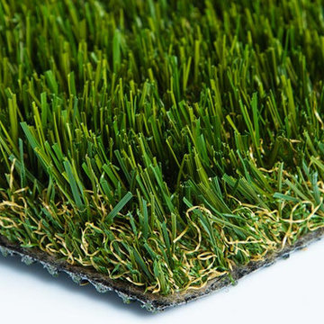 Turf Grass