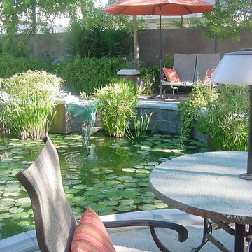 Mediterranean Garden