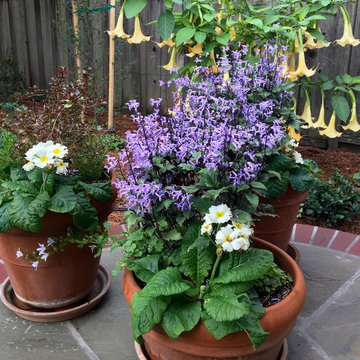 From Weeds to Welcome Home!