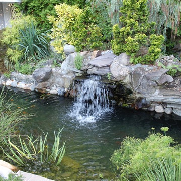 Waterfall and Pond