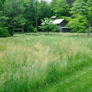 Barn House