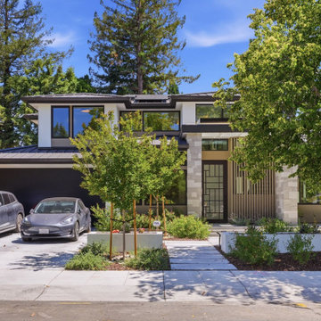 Palo Alto Contemporary VIII