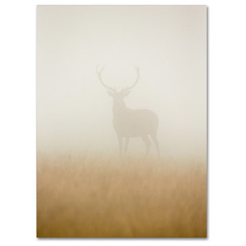 Stuart Harling 'Ghost Stag' Canvas Art, 47x35