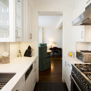 NYC Prewar Contemporary Kitchen Makeover - Looking into the Dining Area