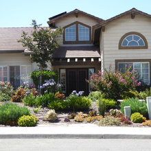 front yard
