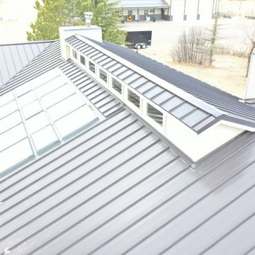 Standing Seam and Skylight Integration