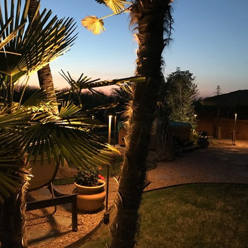 Dallas Landscape Lighting-Project Margaritaville