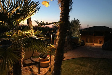 This is an example of a coastal landscaping in Dallas.