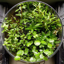 Planted decor - Home Decor