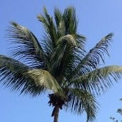 Foto von Norma Haigh