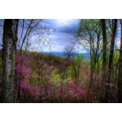 Kenny Hulse's photo