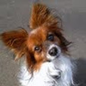 Jane Gray's photo