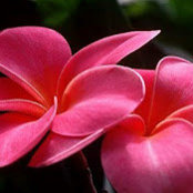 Sandra Meza's photo