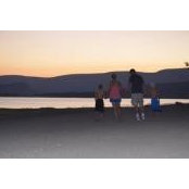 Lisa Maynard's photo