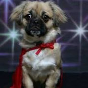 Amanda Powers's photo