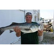 Greg Hill's photo