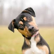 Terry Logan's photo