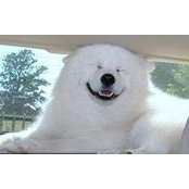 Matthew Montgomery's photo